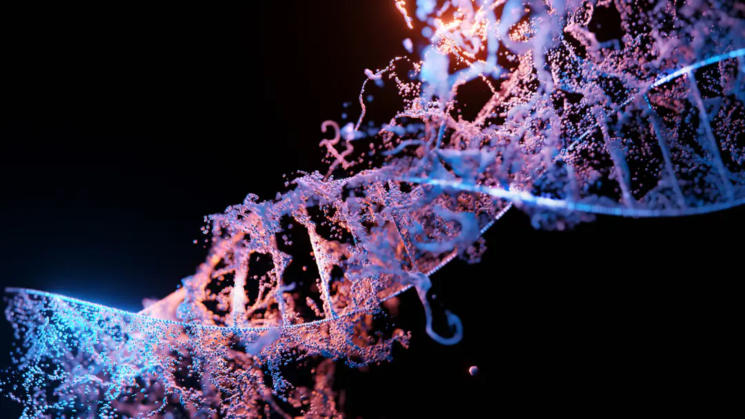 Graph Machine Learning in Biomedical Networks